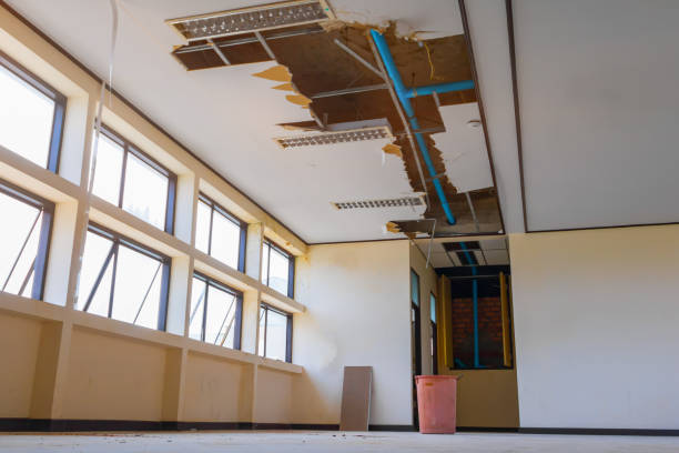 Best Water damage restoration services  in Canastota, NY