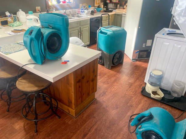Best Sewage cleanup and water damage restoration  in Canastota, NY