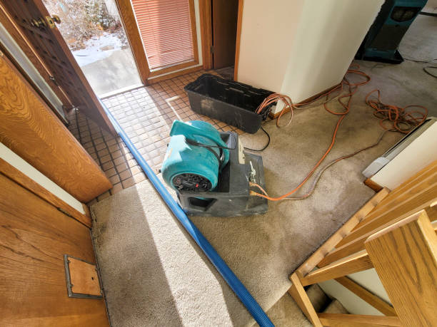 Best Water damage cleanup near me  in Canastota, NY
