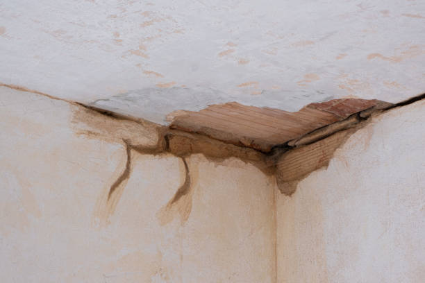 Best Water damage restoration process  in Canastota, NY