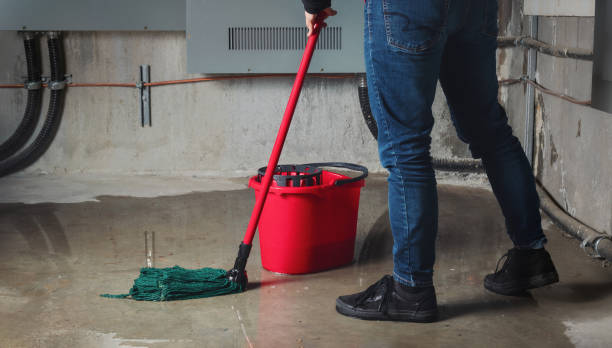 Best Mold removal after water damage  in Canastota, NY