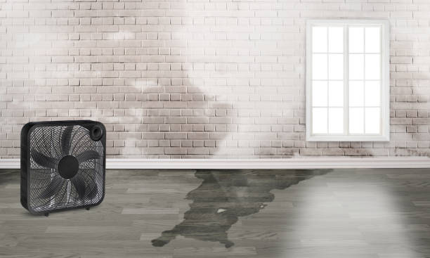 Best 24-hour water damage restoration  in Canastota, NY