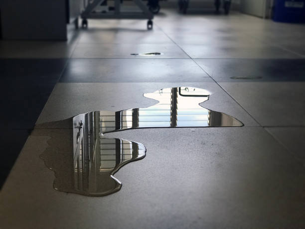 Best Local water damage restoration  in Canastota, NY