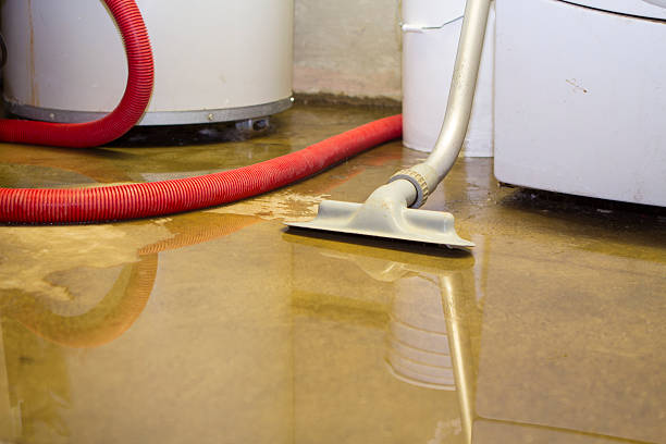 Best Fire Damage Restoration  in Canastota, NY