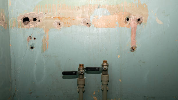 Best Flood restoration services  in Canastota, NY