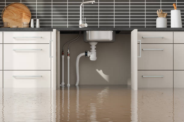 Best Carpet water damage restoration  in Canastota, NY
