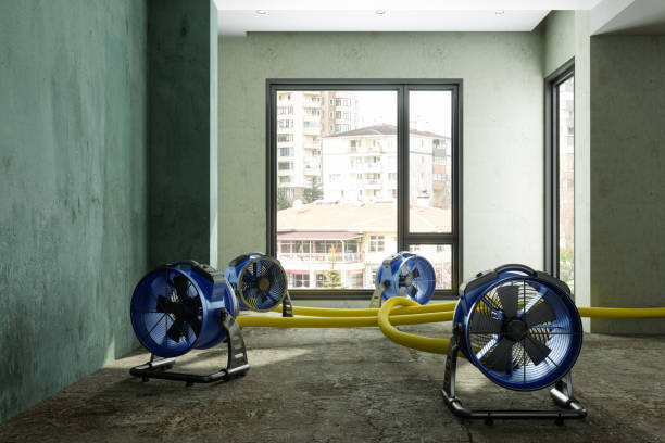 Best Residential water damage restoration  in Canastota, NY